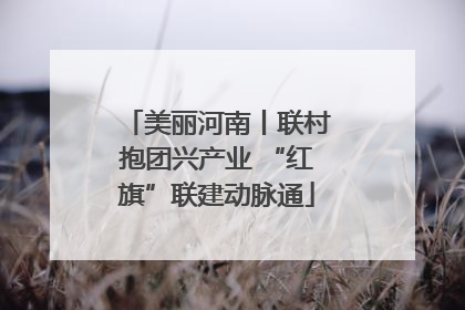 美丽河南丨联村抱团兴产业 “红旗”联建动脉通