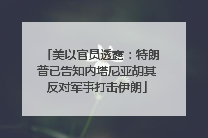 美以官员透露：特朗普已告知内塔尼亚胡其反对军事打击伊朗