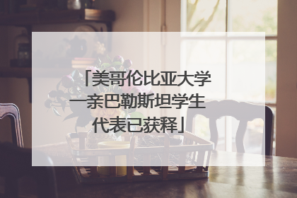 美哥伦比亚大学一亲巴勒斯坦学生代表已获释