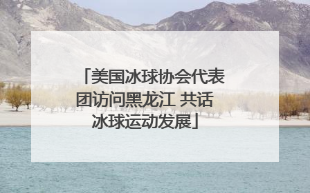 美国冰球协会代表团访问黑龙江 共话冰球运动发展