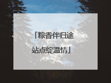 粽香伴归途 站点绽温情