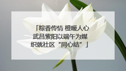 粽香传情 橙暖人心 武昌紫阳以端午为媒织就社区“同心结”