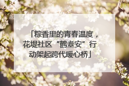粽香里的青春温度，花堤社区“鹤耋安”行动架起跨代暖心桥