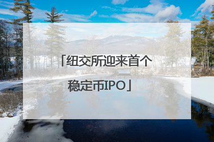纽交所迎来首个稳定币IPO