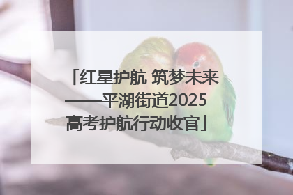 红星护航 筑梦未来——平湖街道2025高考护航行动收官