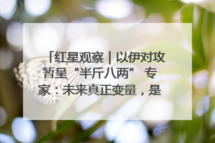 红星观察｜以伊对攻暂呈“半斤八两” 专家：未来真正变量，是美国是否进一步介入