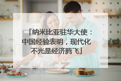 纳米比亚驻华大使：中国经验表明，现代化不光是经济腾飞