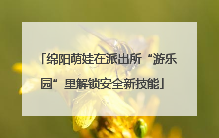 绵阳萌娃在派出所“游乐园”里解锁安全新技能