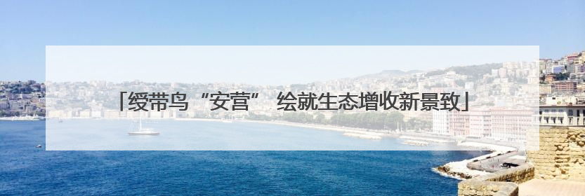 绶带鸟“安营” 绘就生态增收新景致
