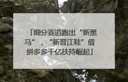 细分赛道跑出“新黑马”，“新晋江鞋”借拼多多千亿扶持崛起