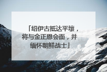 绍伊古抵达平壤，将与金正恩会面，并缅怀朝鲜战士