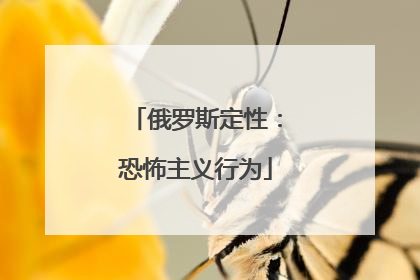 俄罗斯定性：恐怖主义行为