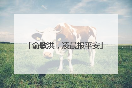 俞敏洪，凌晨报平安