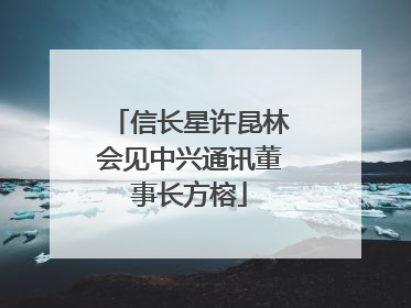 信长星许昆林会见中兴通讯董事长方榕