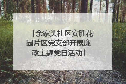 余家头社区安胜花园片区党支部开展廉政主题党日活动