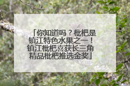 你知道吗？枇杷是镇江特色水果之一！镇江枇杷喜获长三角精品枇杷推选金奖
