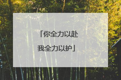 你全力以赴 我全力以护