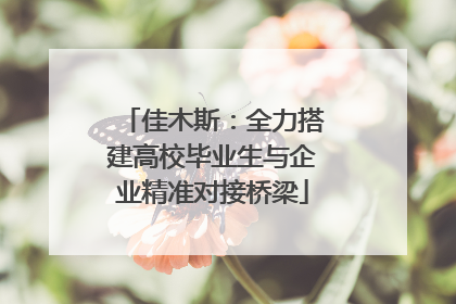 佳木斯：全力搭建高校毕业生与企业精准对接桥梁