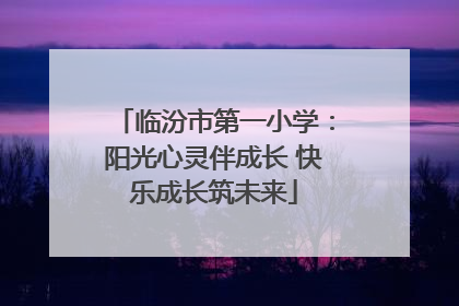临汾市第一小学：阳光心灵伴成长 快乐成长筑未来