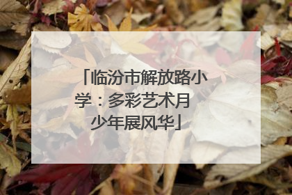 临汾市解放路小学：多彩艺术月 少年展风华