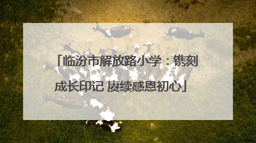 临汾市解放路小学：镌刻成长印记 赓续感恩初心