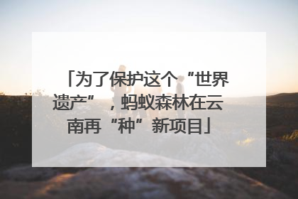 为了保护这个“世界遗产”，蚂蚁森林在云南再“种”新项目