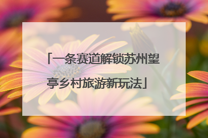 一条赛道解锁苏州望亭乡村旅游新玩法