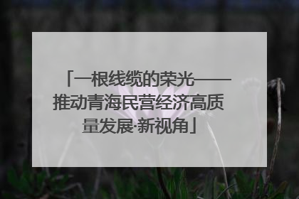 一根线缆的荣光——推动青海民营经济高质量发展·新视角
