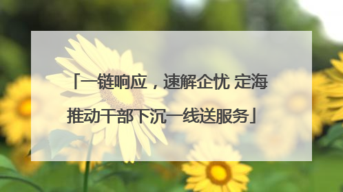 一链响应，速解企忧 定海推动干部下沉一线送服务
