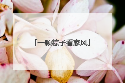 一颗粽子看家风