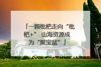 一颗枇杷走向“枇杷+” 山海资源成为“聚宝盆”