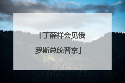丁薛祥会见俄罗斯总统普京