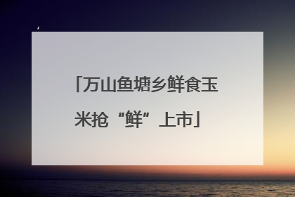 万山鱼塘乡鲜食玉米抢“鲜”上市