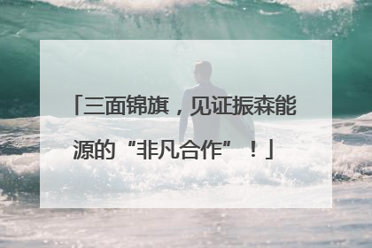 三面锦旗，见证振森能源的“非凡合作”！