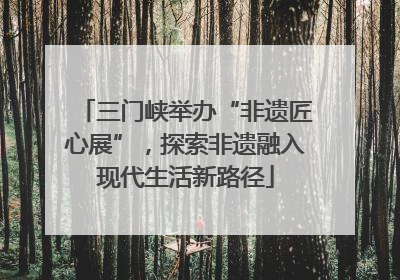 三门峡举办“非遗匠心展”，探索非遗融入现代生活新路径