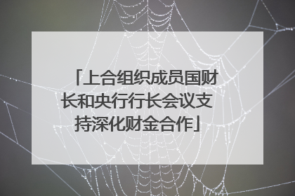 上合组织成员国财长和央行行长会议支持深化财金合作