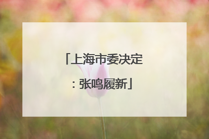 上海市委决定：张鸣履新