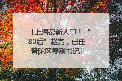 上海最新人事！“80后”赵亮，已任普陀区委副书记