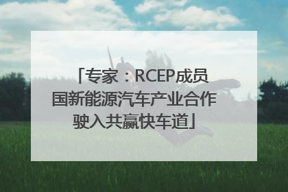 专家：RCEP成员国新能源汽车产业合作驶入共赢快车道