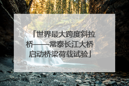 世界最大跨度斜拉桥——常泰长江大桥启动桥梁荷载试验