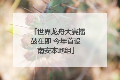 世界龙舟大赛擂鼓在即 今年首设南安本地组