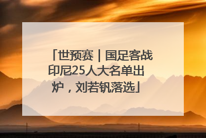 世预赛｜国足客战印尼25人大名单出炉，刘若钒落选
