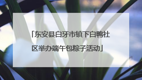 东安县白牙市镇下白鸭社区举办端午包粽子活动