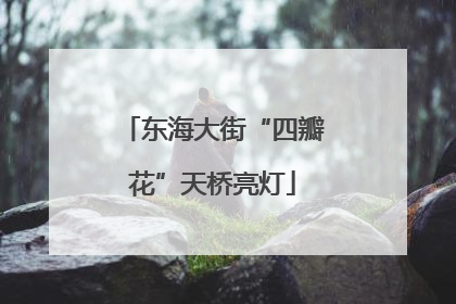 东海大街“四瓣花”天桥亮灯