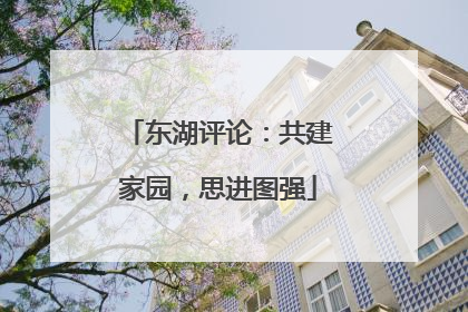 东湖评论：共建家园，思进图强