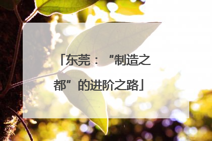 东莞：“制造之都”的进阶之路