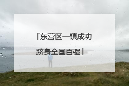 东营区一镇成功跻身全国百强