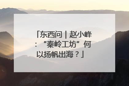 东西问｜赵小峰：“秦岭工坊”何以扬帆出海？