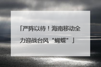 严阵以待！海南移动全力迎战台风“蝴蝶”