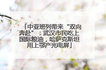 中亚班列带来“双向奔赴”：武汉市民吃上国际粮油，哈萨克斯坦用上鄂产光电屏